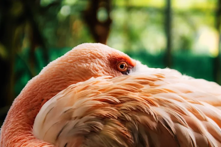 Cara Menilai Kualitas Rak Bekas Dengan Mata Elang