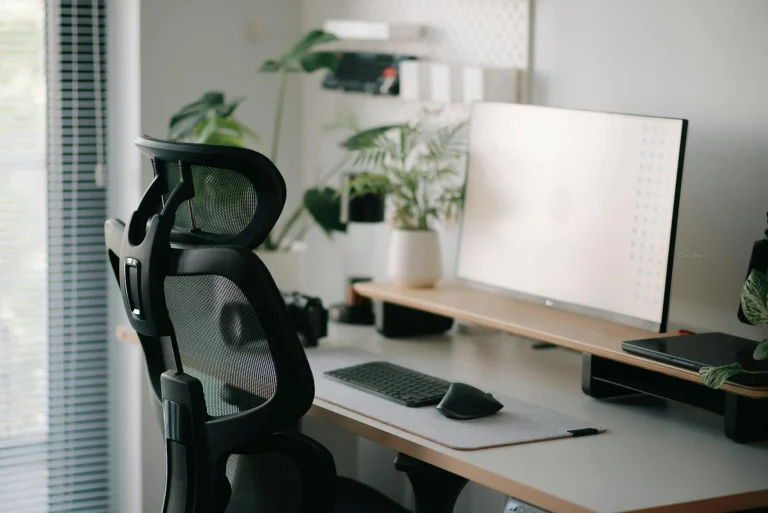 Ergonomics Office Desk Setup