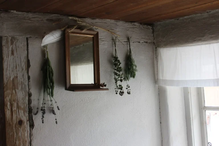 Gondola Shelf Wall Display
