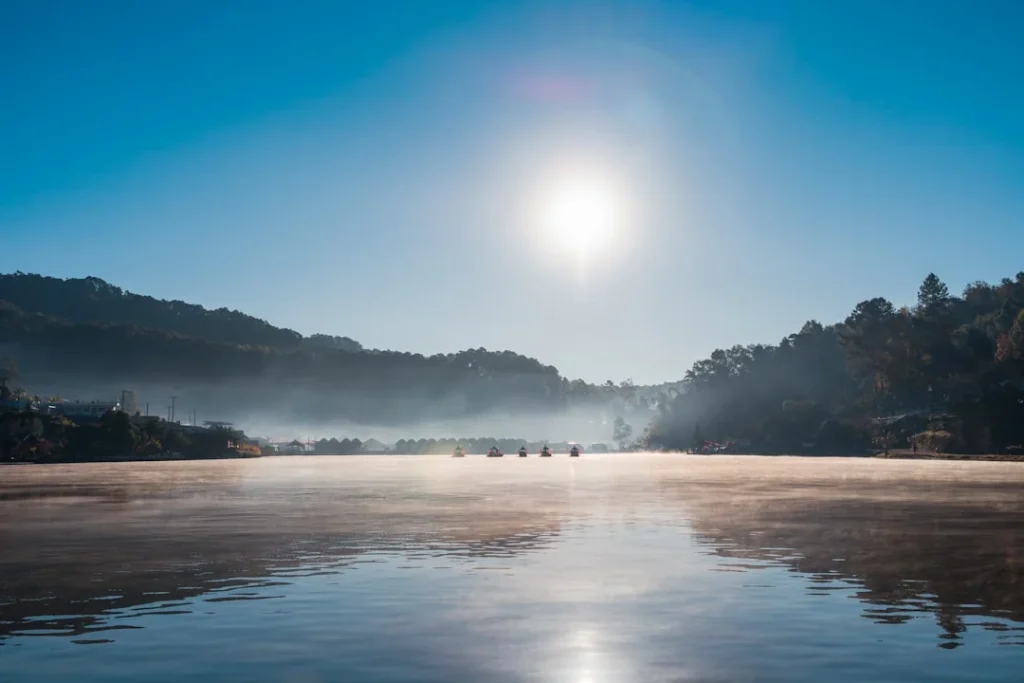 Jeli Memilih Rak Gudang Bekas Berkualitas