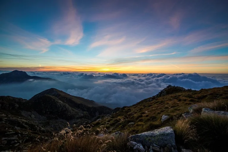 Jenis Rak Gondola Yang Wajib Ada Di Toko Anda