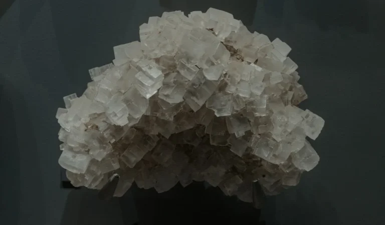 Material Dan Spesifikasi Rak Yang Tangguh Untuk Iklim Merauke