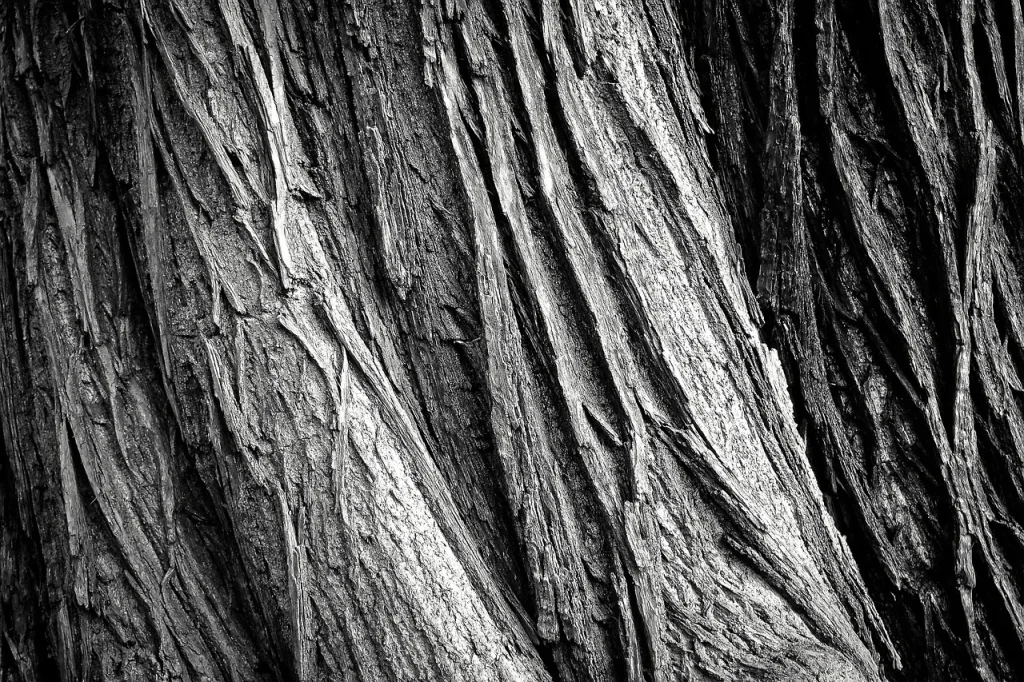 Metal Shelf Wood Texture