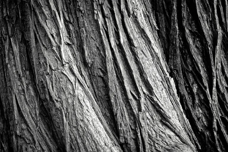 Metal Shelf Wood Texture