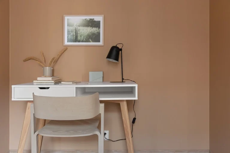 Minimalist Furniture Modern Desk