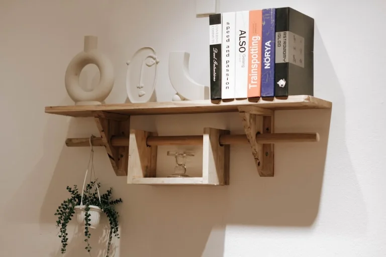 Minimalist Shelf Design Retail Display Wood Furniture