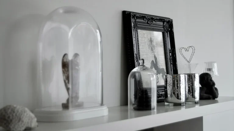 Minimalist Shelf Interior Design