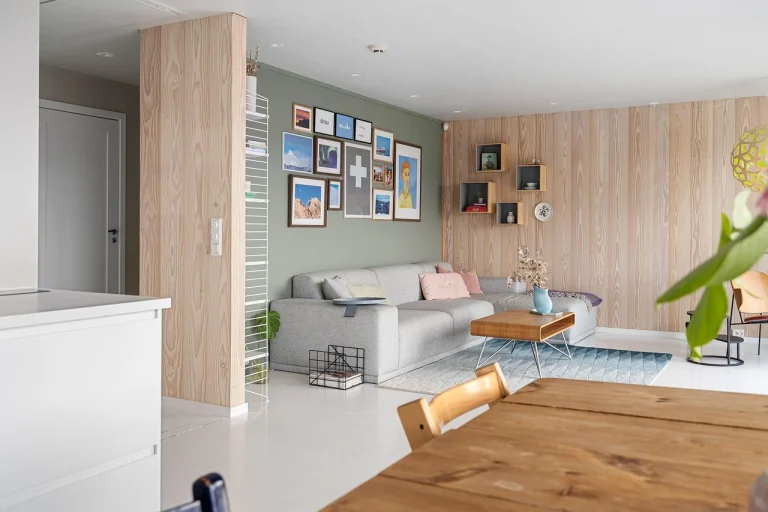 Modern Shelving Home Interior