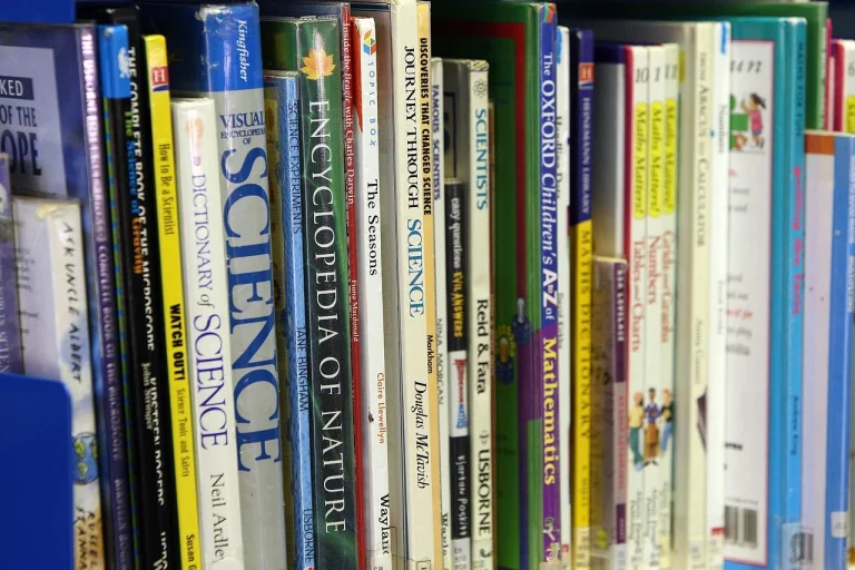 Organized Shop Wall Shelves