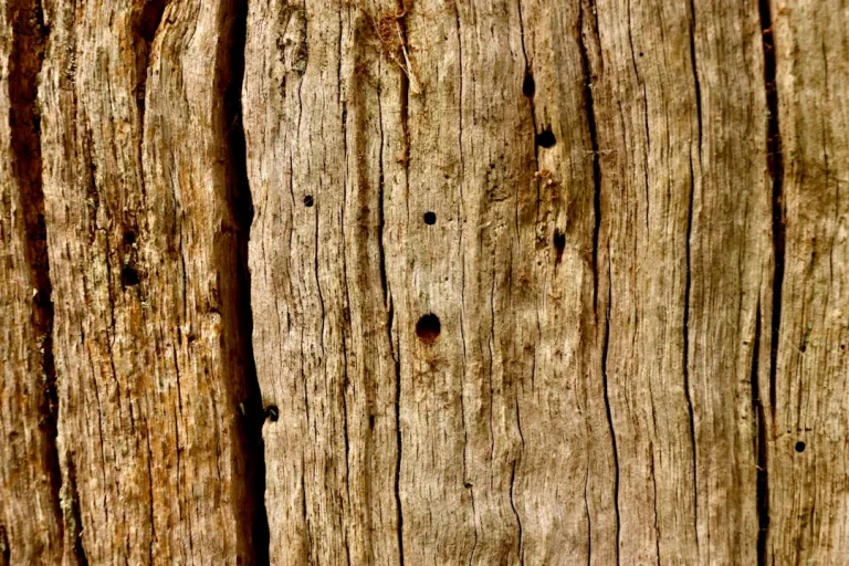 Pine Wood Timber Planks
