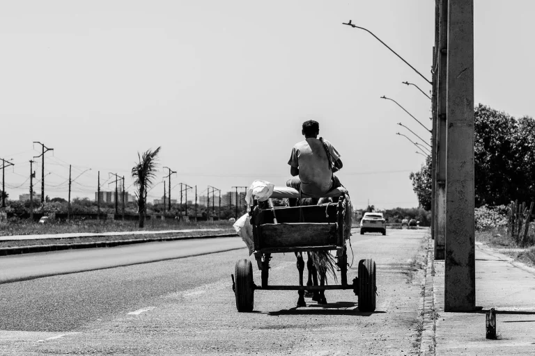 Plastic Trolley Utility Cart