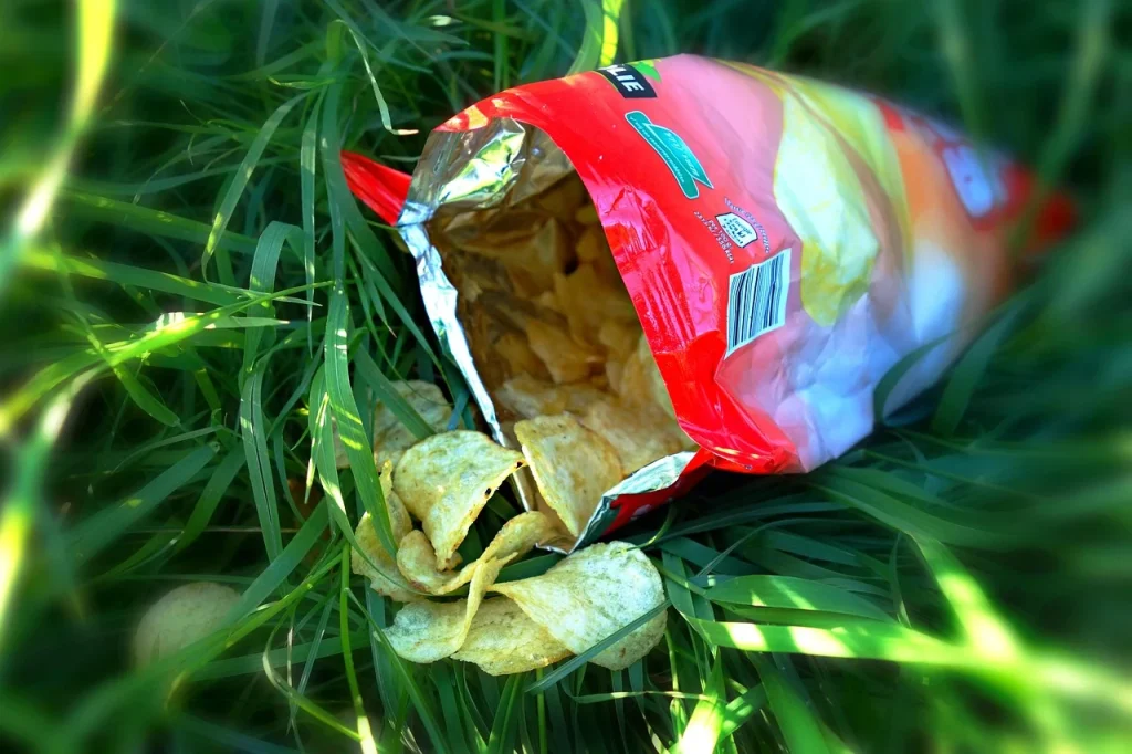 Potato Chips Snack Packaging