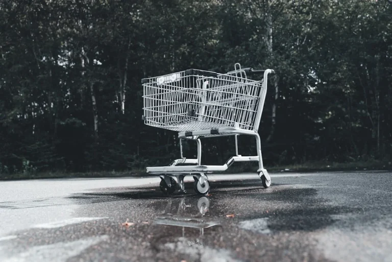 Price Tag Shopping Cart