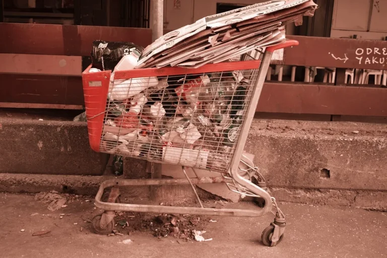 Price Tag Shopping Cart
