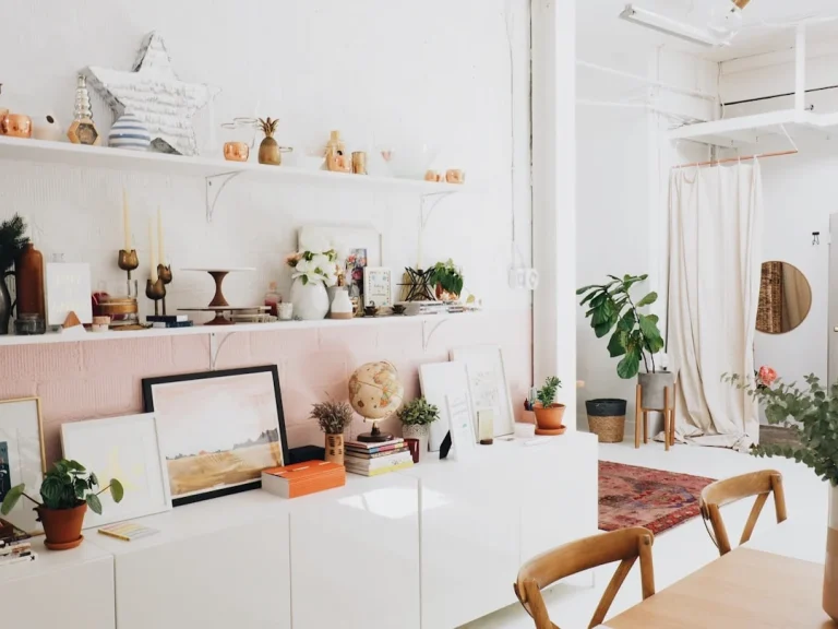 Retail Shop Store Interior