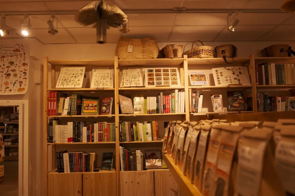 Shop Interior Organized Shelves