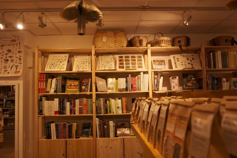 Shop Interior Organized Shelves