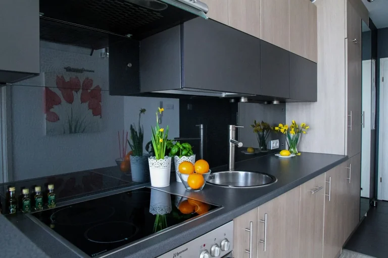 Small Apartment Interior Storage