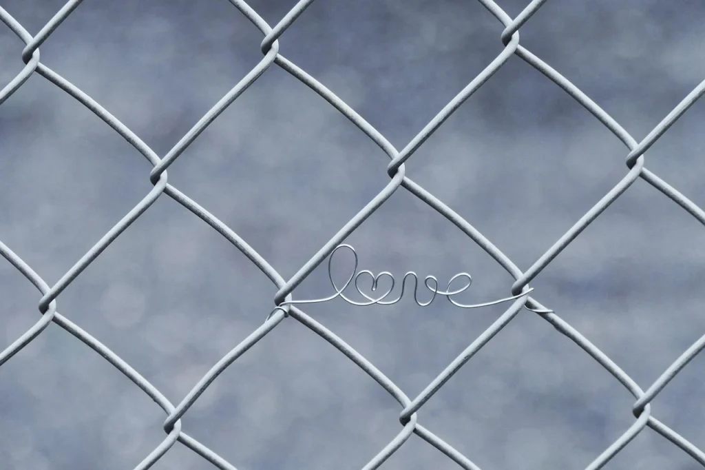 Supermarket Shelf Metal Wire