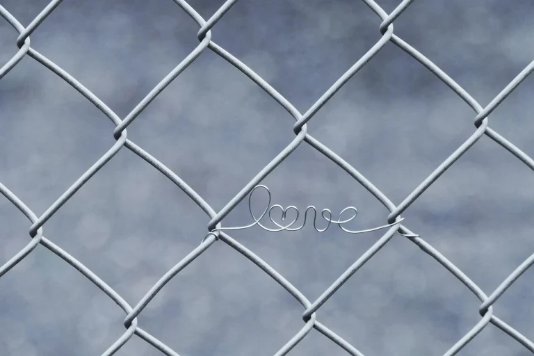 Supermarket Shelf Metal Wire