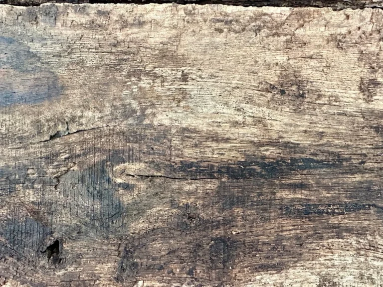 Timber Planks Wood Texture