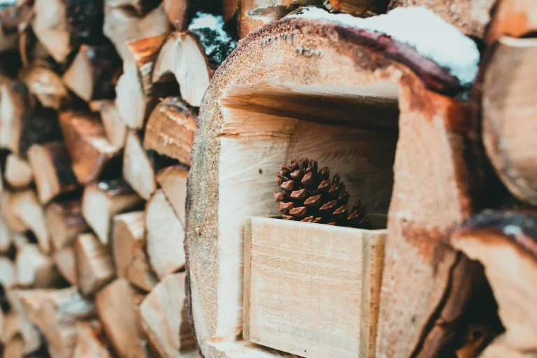 Timber Wood Pine Wood