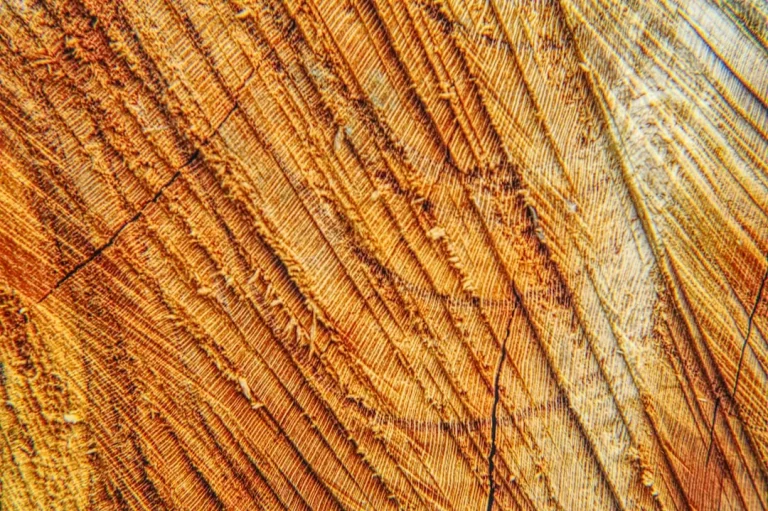 Timber Wood Pine Wood Pallet Texture