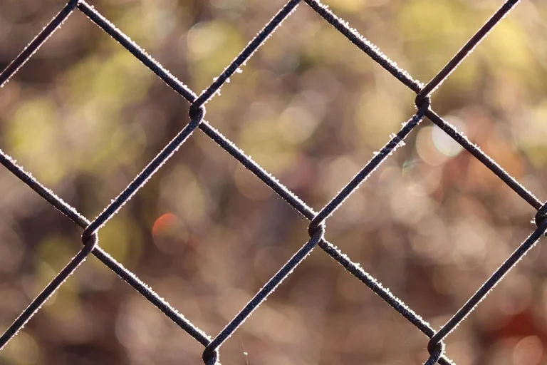 Wire Mesh Store Interior