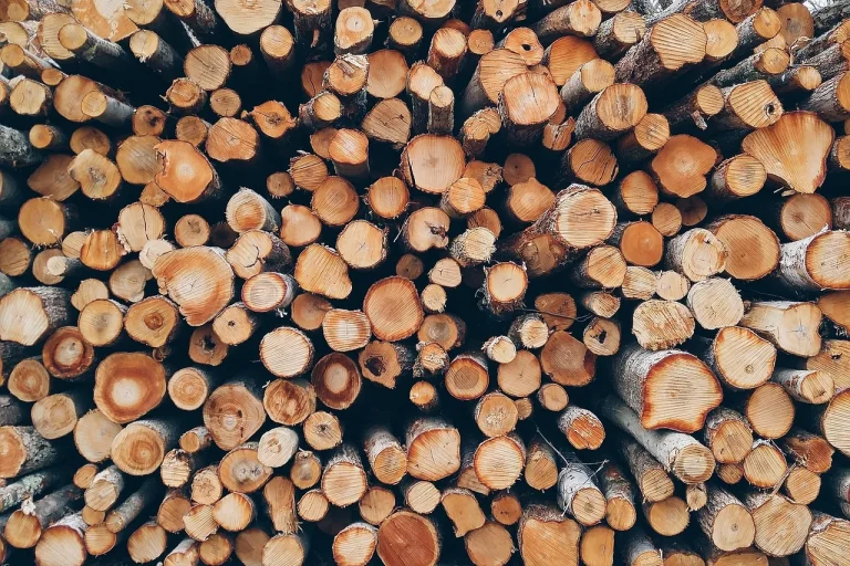 Wood Grain Carpenter Tools Quality Lumber