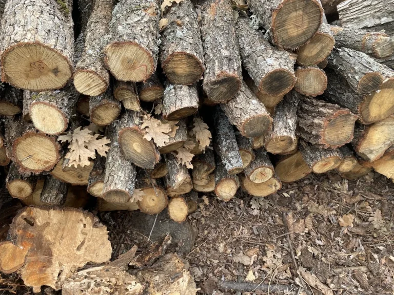 Wood Texture Carpenter