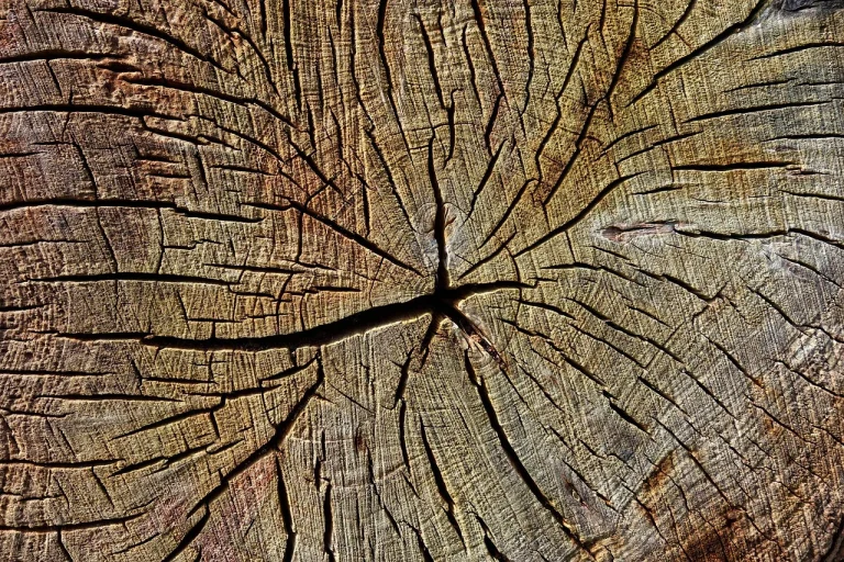 Wood Texture Pine Lumber
