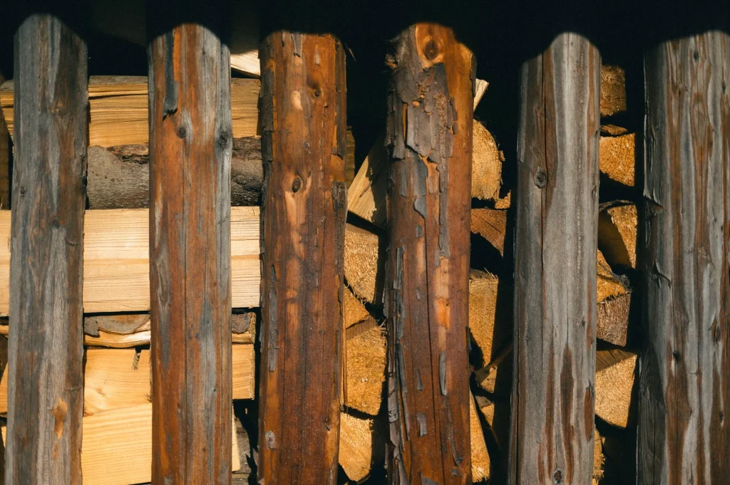 Wood Texture Pine Wood