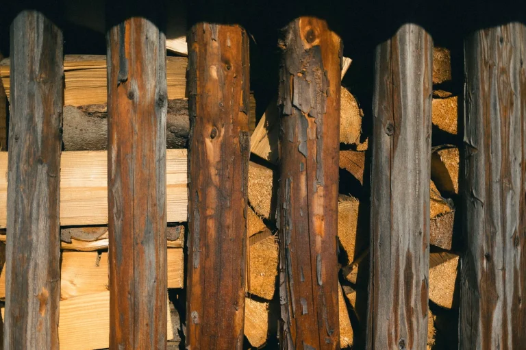 Wood Texture Pine Wood