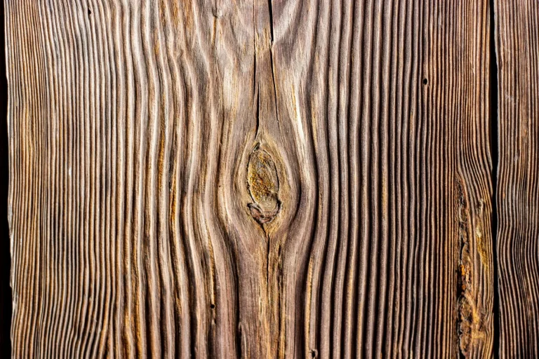 Wood Texture Timber