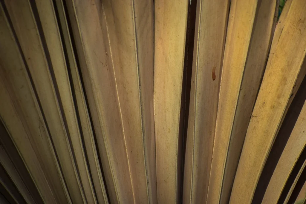 Wood Timber Carpentry