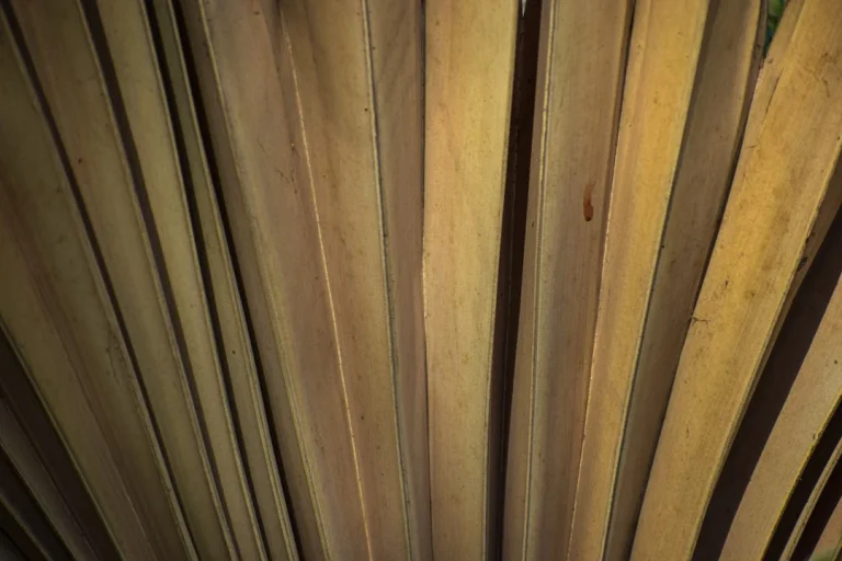 Wood Timber Carpentry