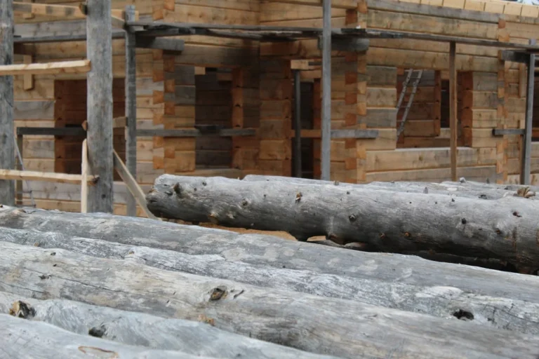 Wood Timber Pine Wood