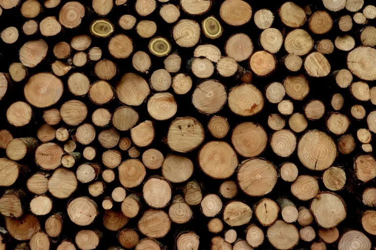 Wood Timber Pine Wood Carpenter
