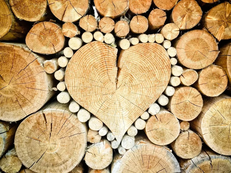 Wood Timber Pine Wood Teak Wood