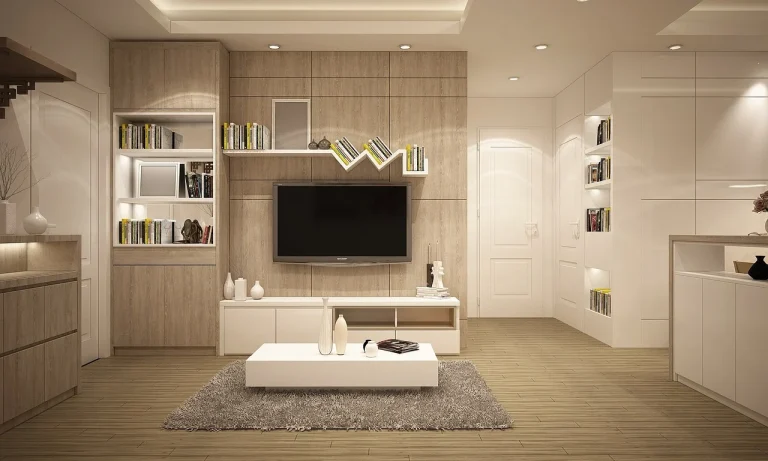 Wooden Shelving Boutique Interior